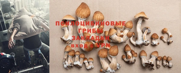 наркотики Абдулино